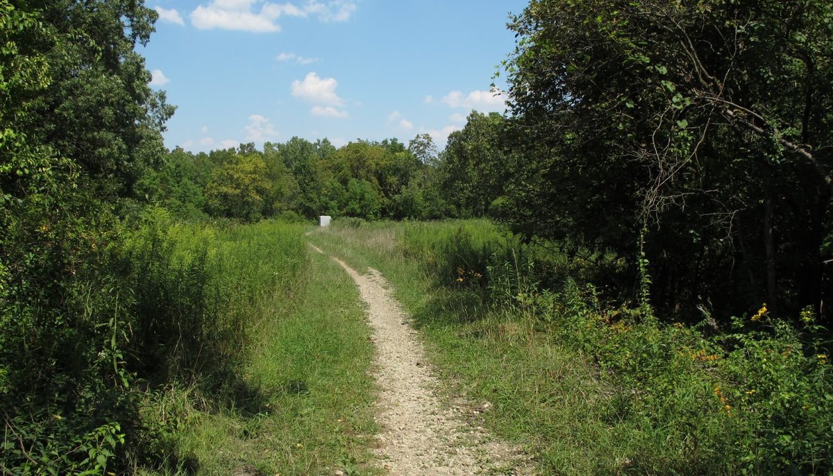 Army Trail Area, IL - Red Gate Woods – Forest Preserves of Cook County