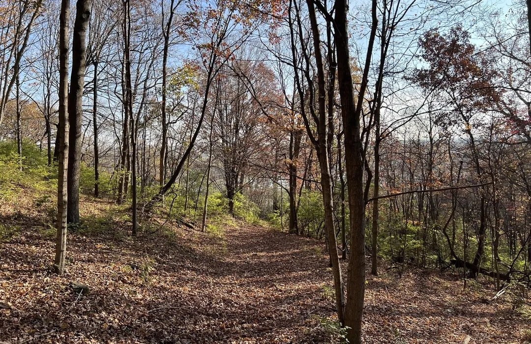 Army Trail Area, IL - 10 Best hikes and trails in Pere Marquette's State Park | AllTrails